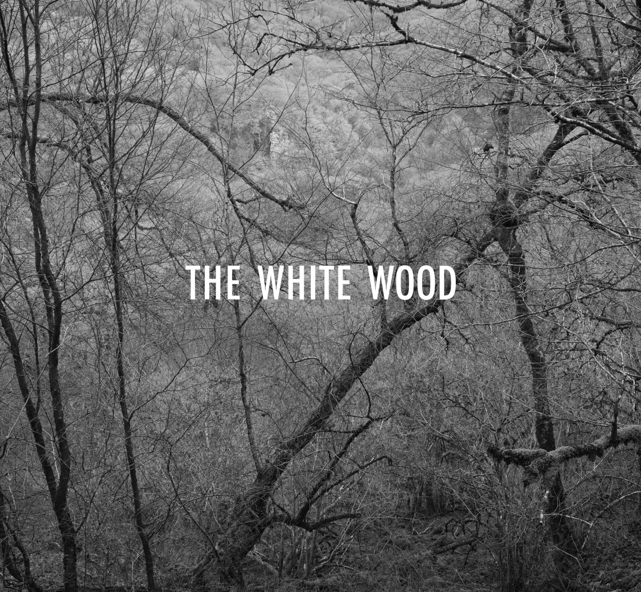 The white Wood book cover